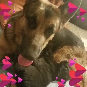 Meet your Posher, Jeanie